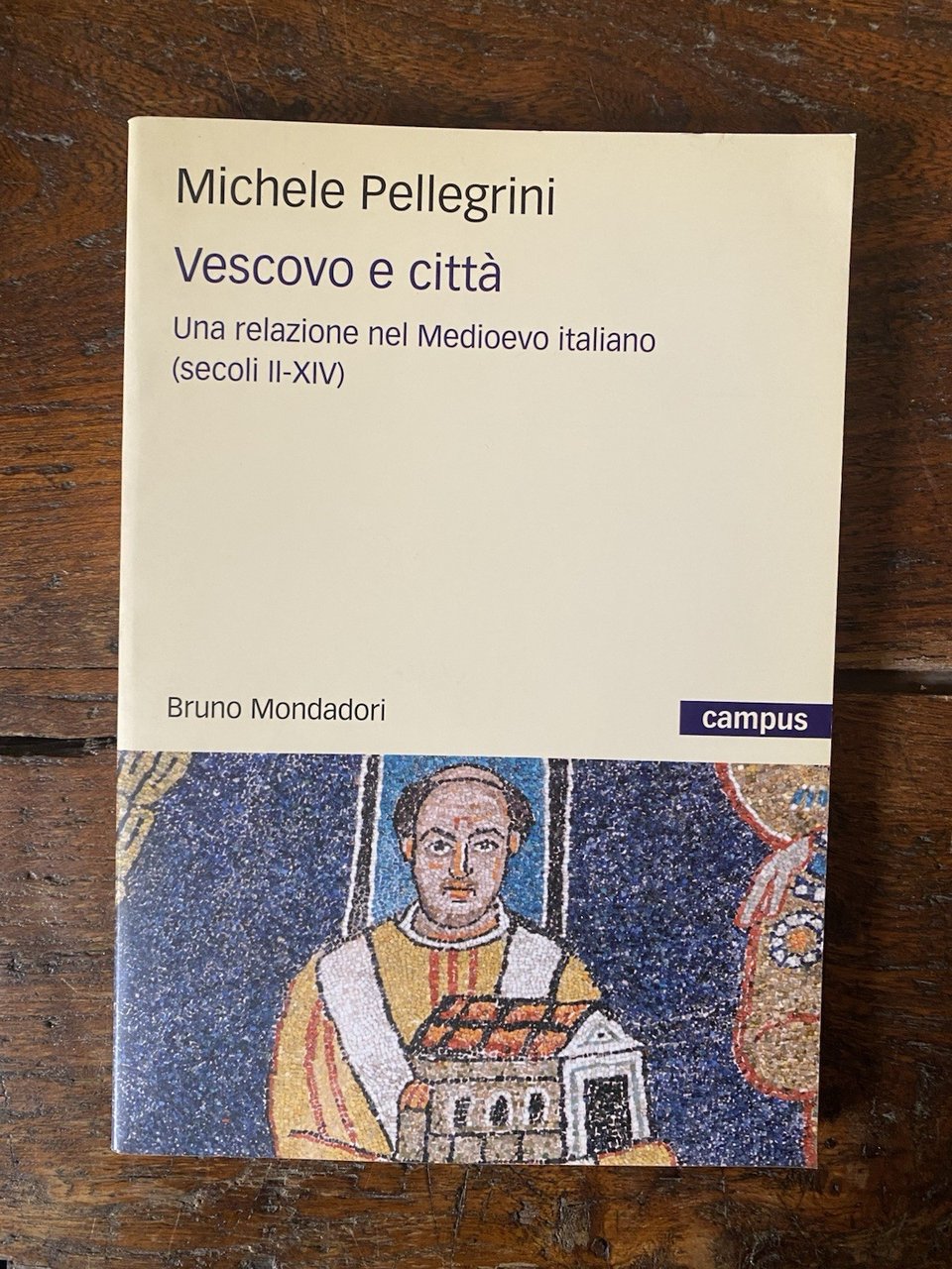 Pellegrini Michele Vesovo e città Milano Mondadori 2009