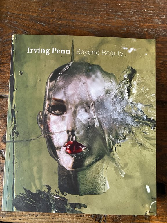 Penn Irving Beyond Beauty New York Smithsonian Art Museum 2016