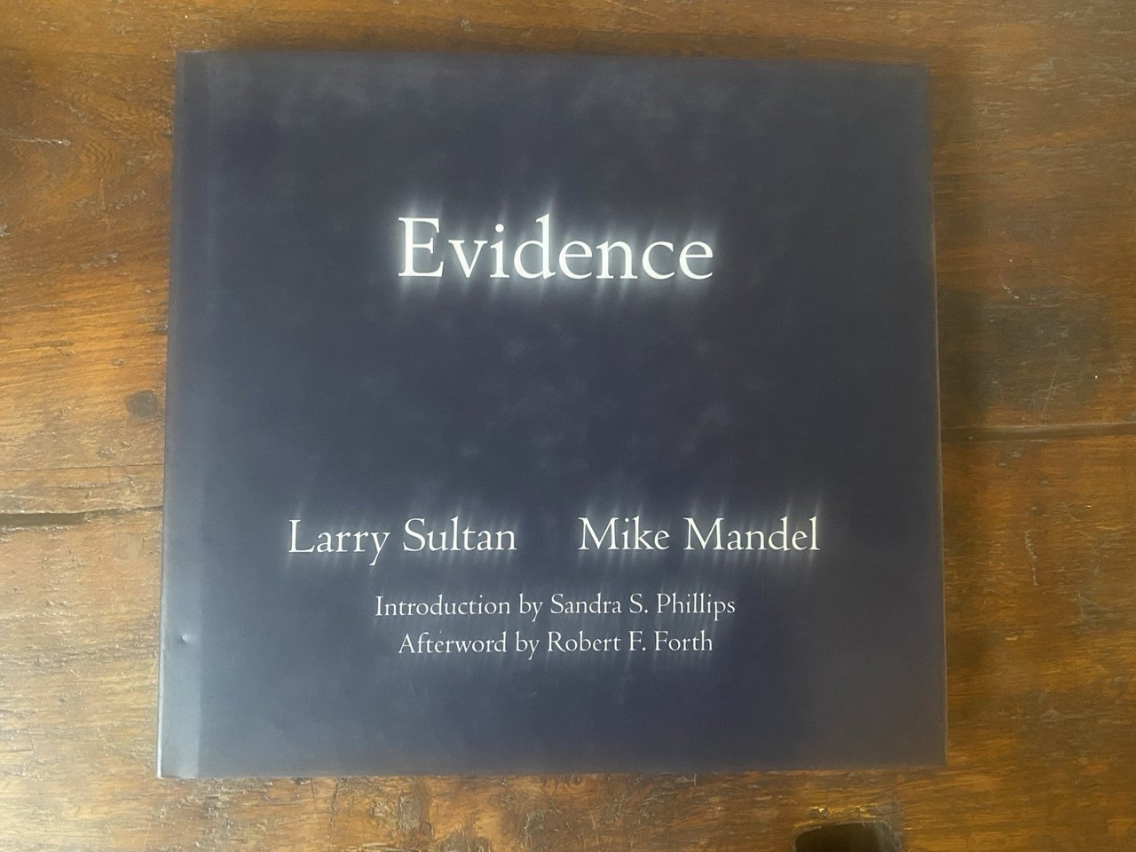 Sultan Larry Mandel Mike Evidence D.A.P. Distributed Art Publishers 2003