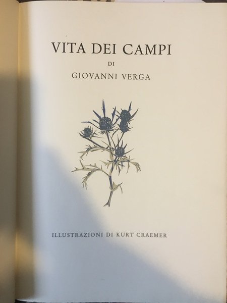 Vita dei campi