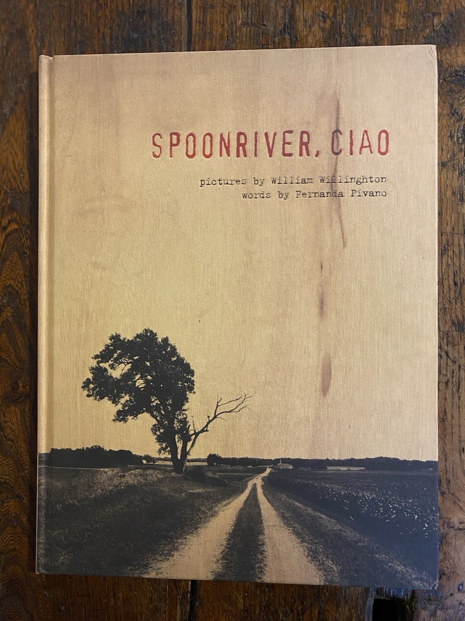 Willinghton William Pivano Fernanda Spoonriver, Ciao Illinois Dreams Creek 2005 | Immagine principale