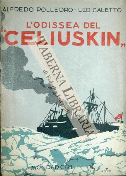 L'odissea del 'Celiuskin'