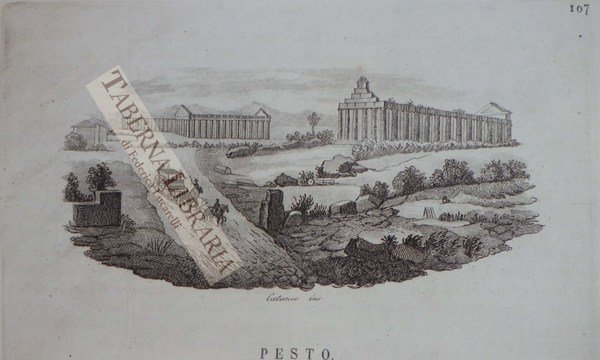 Pesto (Paestum)