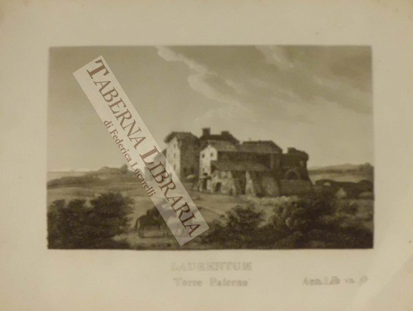 Laurentum - Torre Paterno