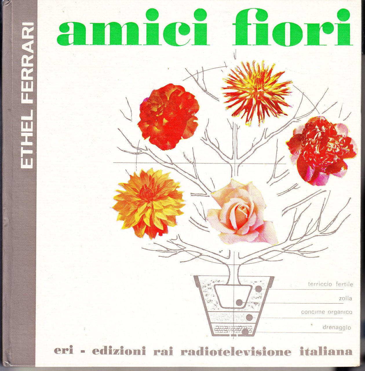 Amici fiori