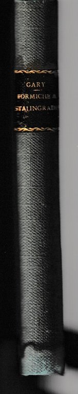 Formiche a Stalingrado