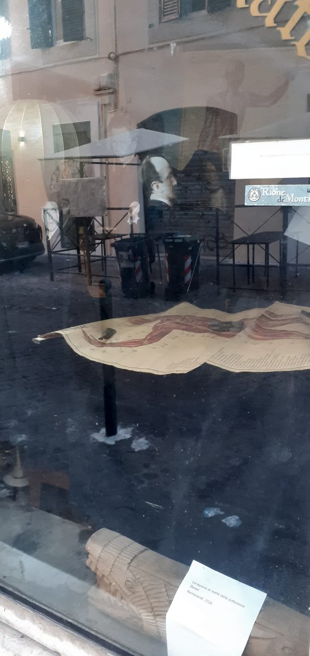 Manifesti didattici con disegni illustrativi e nomenclatura del sistema circolatorio … | Immagine principale