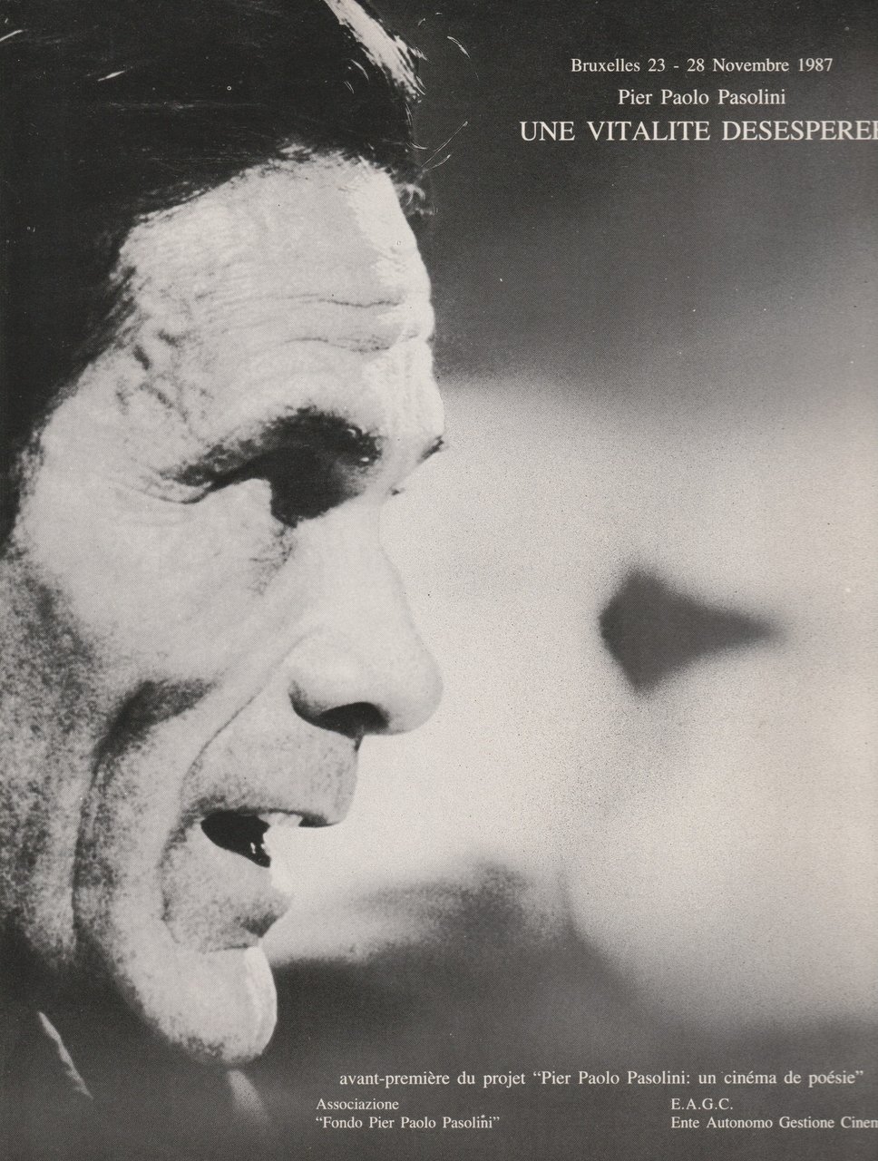 Pier Paolo Pasolini. Une vitalite desesperee