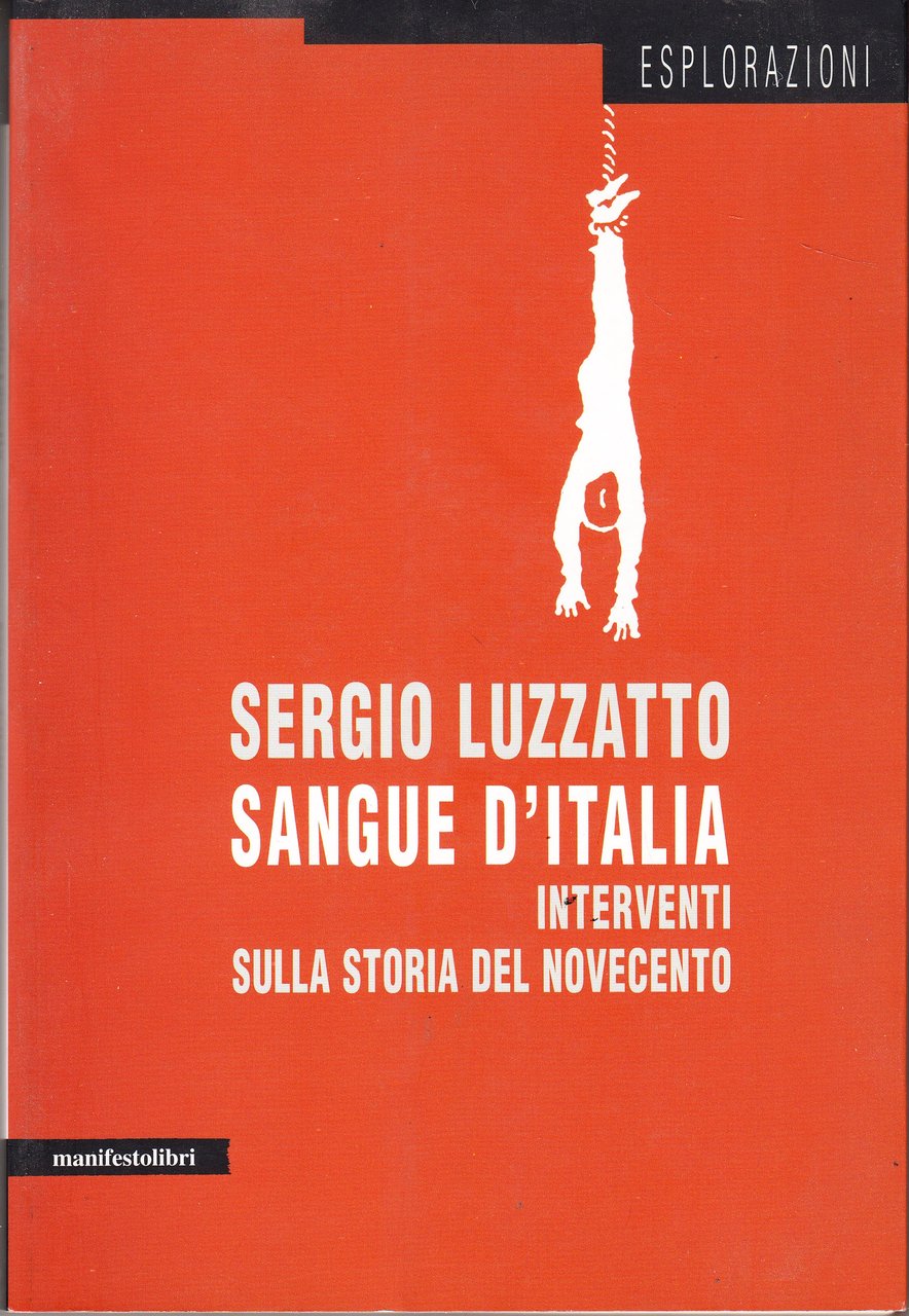 Sangue d'Italia. Interventi sulla storia del Novecento