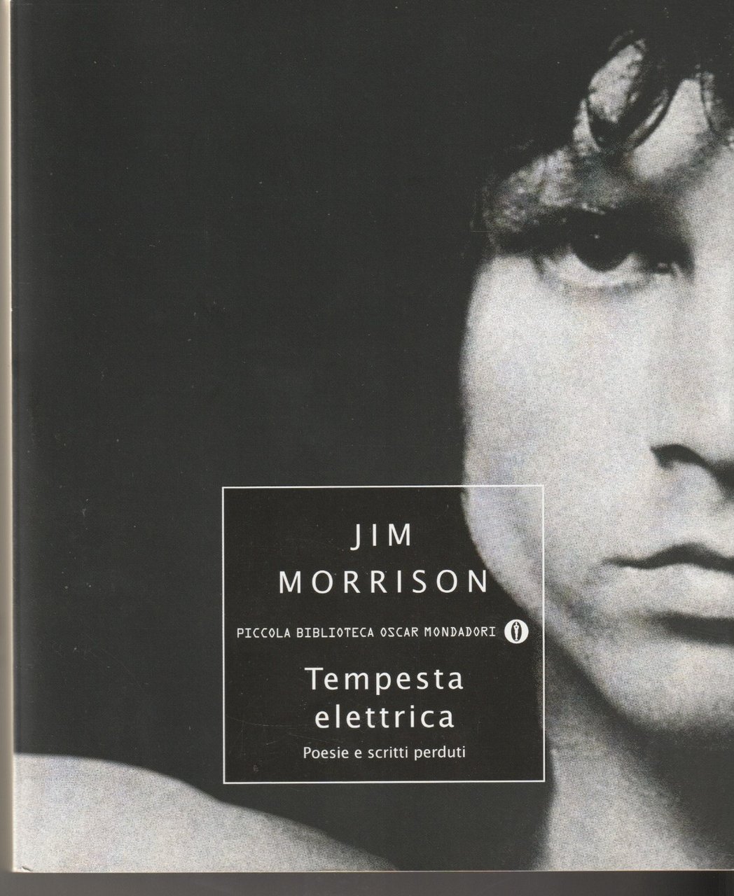 Tempesta elettrica. Poesie e scritti perduti | Immagine principale