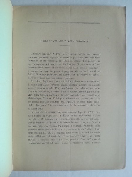 Degli scavi nell'isola Virginia; Il Civico Museo archeologico di Como