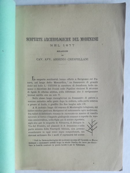 Scoperte archeologiche del Modenese nel 1877. Relazione