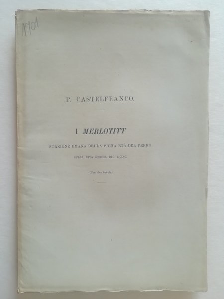 I Merlotitt stazione umana della prima eta' del ferro sulla …