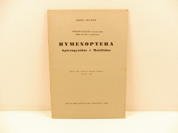 Hymenoptera. Apterogynidae e mutillidae