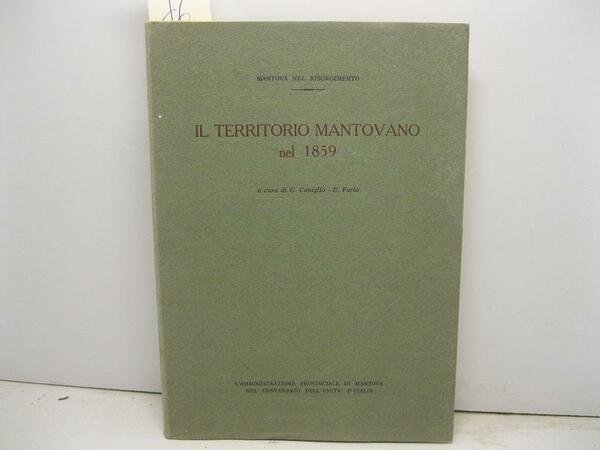 Il territorio mantovano nel 1859 a cura di G. Coniglio, … | Immagine principale