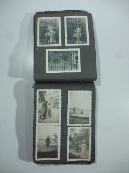 Album contenente 138 fotografie originali di argomento circense. 1930 ca. …