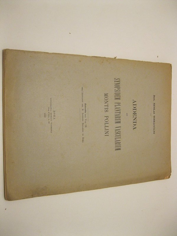 Addenda ad Synopsidem plantarum vascularium montis Pollini