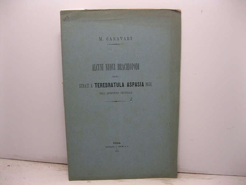 Alcuni nuovi brachiopodi degli strati a terebratula aspasia Mgh. nell'Appennino …