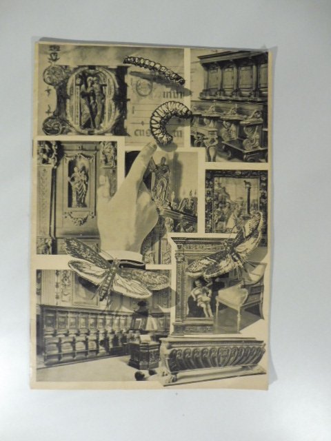 Alessandro Rivolta. Metodo per la conservazione e pietrificazione dei tessuti …