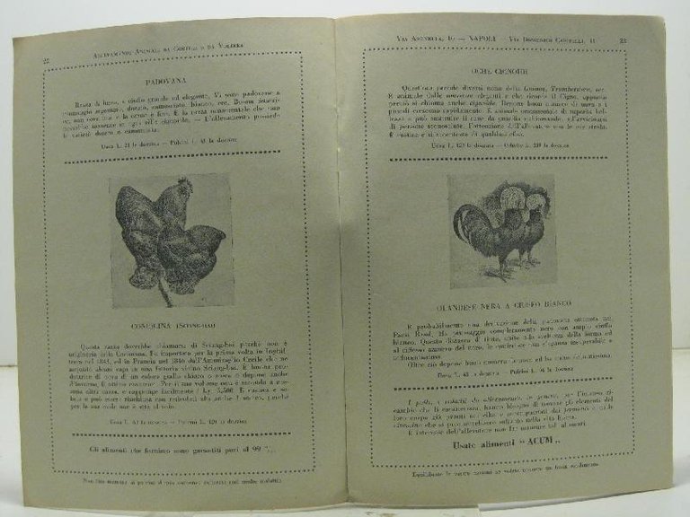 Allevamento animali da cortile e da voliera, Guglielmo Muca