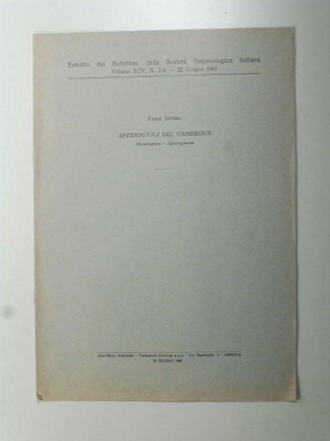 Apterogynia del Cameroun, Himenoptera, Apterogynidae