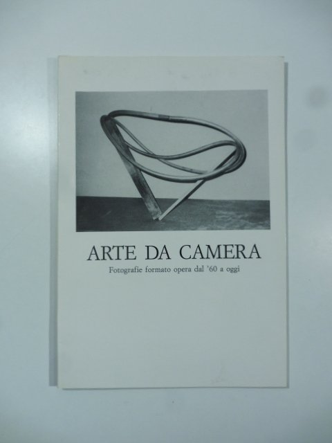 Arte da camera. Fotografie formato opera dal '60 a oggi