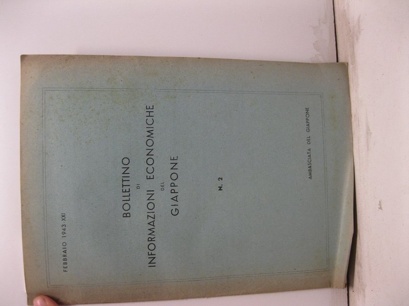 Bollettino di informazioni economiche del Giappone n. 2