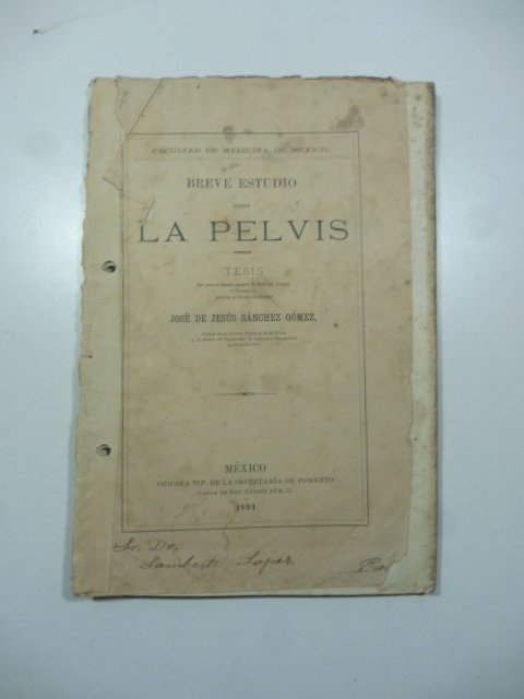 Breve estudio sobre la pelvis. Tesis; Laminas