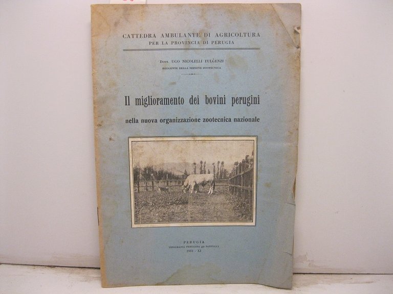 Cattedra ambulante di agricoltura per la provincia di Perugia - Il miglioramento dei bovini perugini nella nuova organizzazione zootecnica nazionale.