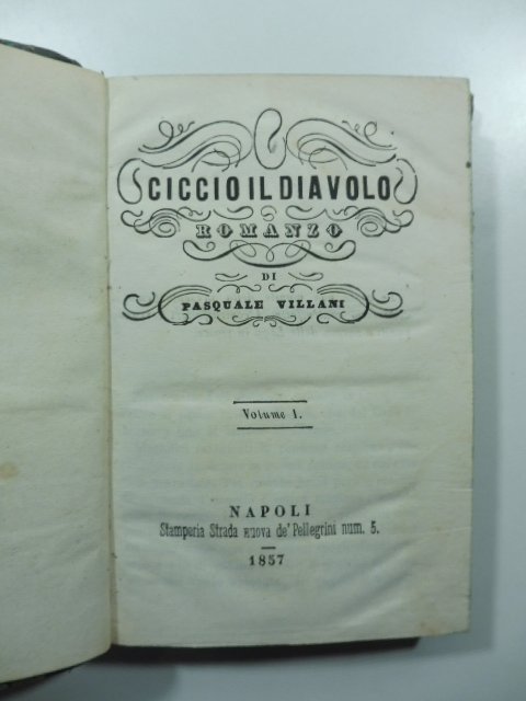 Ciccio il diavolo. Romanzo