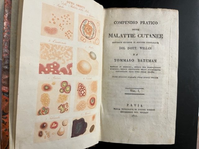 Compendio pratico delle malattie cutanee ordinate secondo il sistema nosologico … | Immagine principale