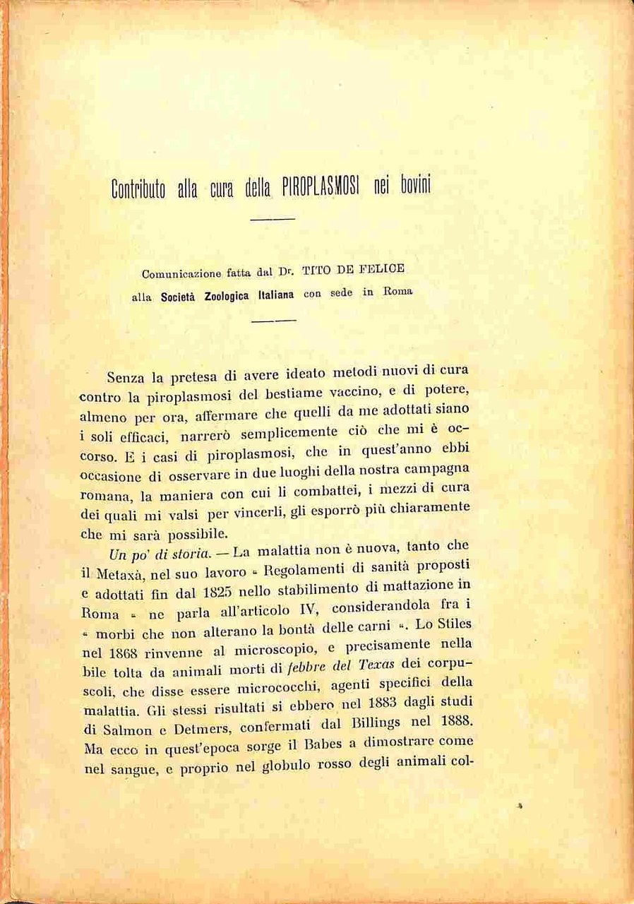 Contributo alla cura della piroplasmosi nei bovini