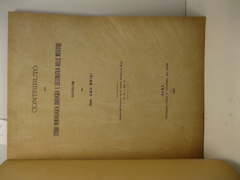 CONTRIBUTO ALLO STUDIO MORFOLOGICO, BIOLOGICO E SISTEMATICO DELLE MUSCINEE