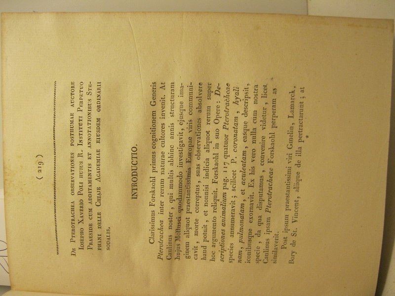 De pterotrachea observationes posthumae auctore Iosepho Xaverio Poli.