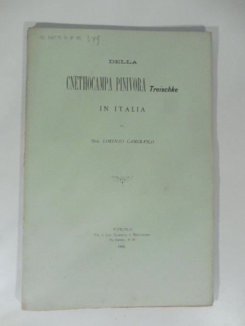 Della cnethocampa pinivora Treischke in Italia