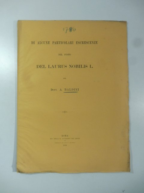 Di alcune particolari escrescenze del fusto del laurus nobilis l.