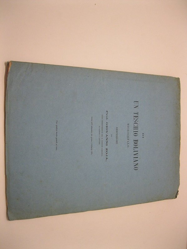 Di un teschio boliviano microcefalo. Descrizione del Prof. Giovanni Zoja …