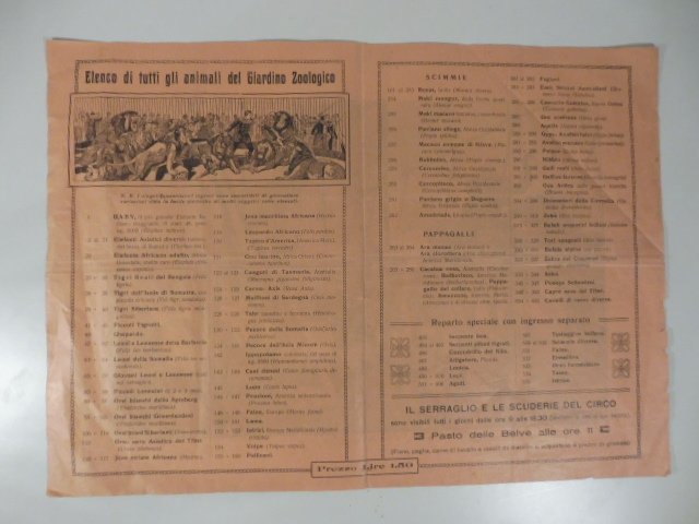 Elenco di tutti gli animali del giardino zoologico. Il serraglio …