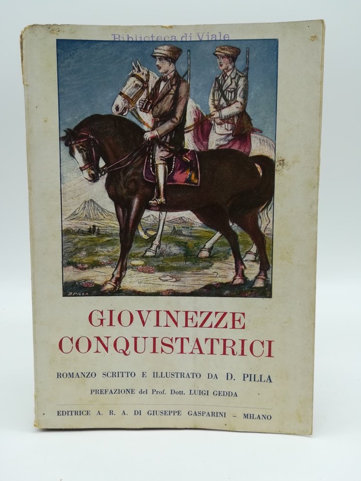 Giovinezze conquistatrici. Romanzo