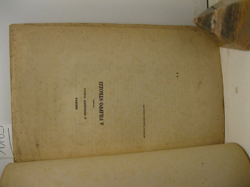 Giunta ai documenti storici intorno a Filippo Strozzi