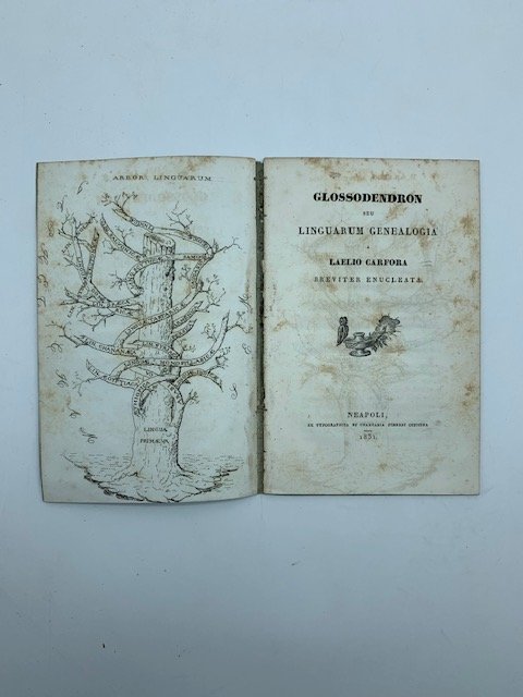 Glossodendron seu linguarum genealogia a Laelio Carfora breviter enucleata