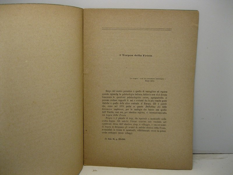 I Terpen della Frisia