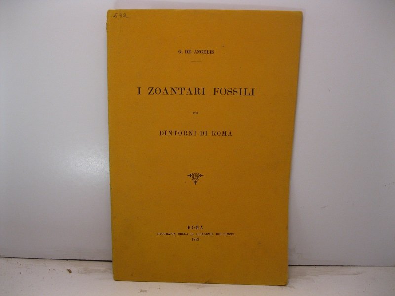 I zoantari fossili nei dintorni di Roma