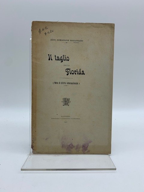 Il taglio della Florida (Note di diritto internazionale)