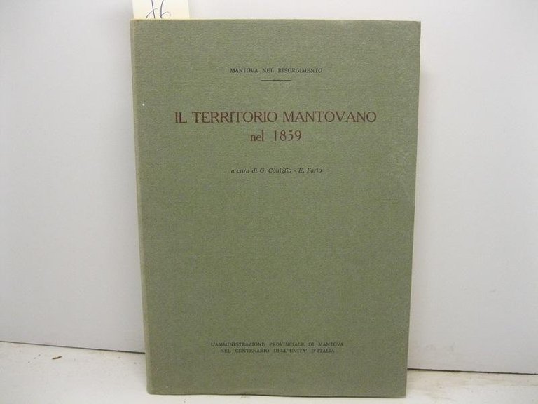 Il territorio mantovano nel 1859 a cura di G. Coniglio, … | Immagine Gallery 2