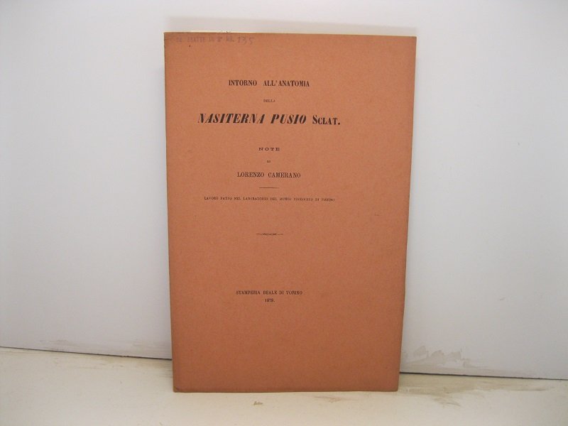 Intorno all'anatomia della nasiterna pusio sclater. Lavoro fatto nel laboratorio …