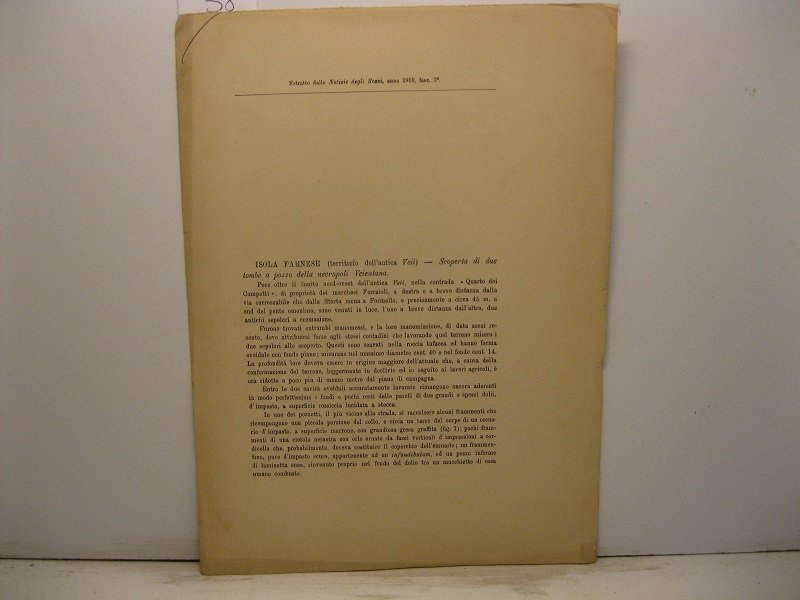 Isola Farnese. Scoperta di due tombe a pozzo della necropoli …