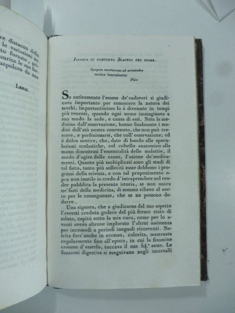 Istoria di completo sfacelo del cuore. (Stralcio da: Nuovo giornale …