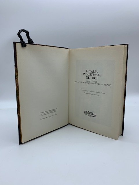 L'Italia industriale nel 1881. Conferenze sulla Esposizione Nazionale di Milano