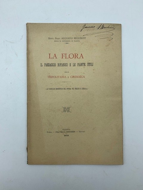 La flora. Il paesaggio botanico e le piante utili della Tripolitania e Cirenaica